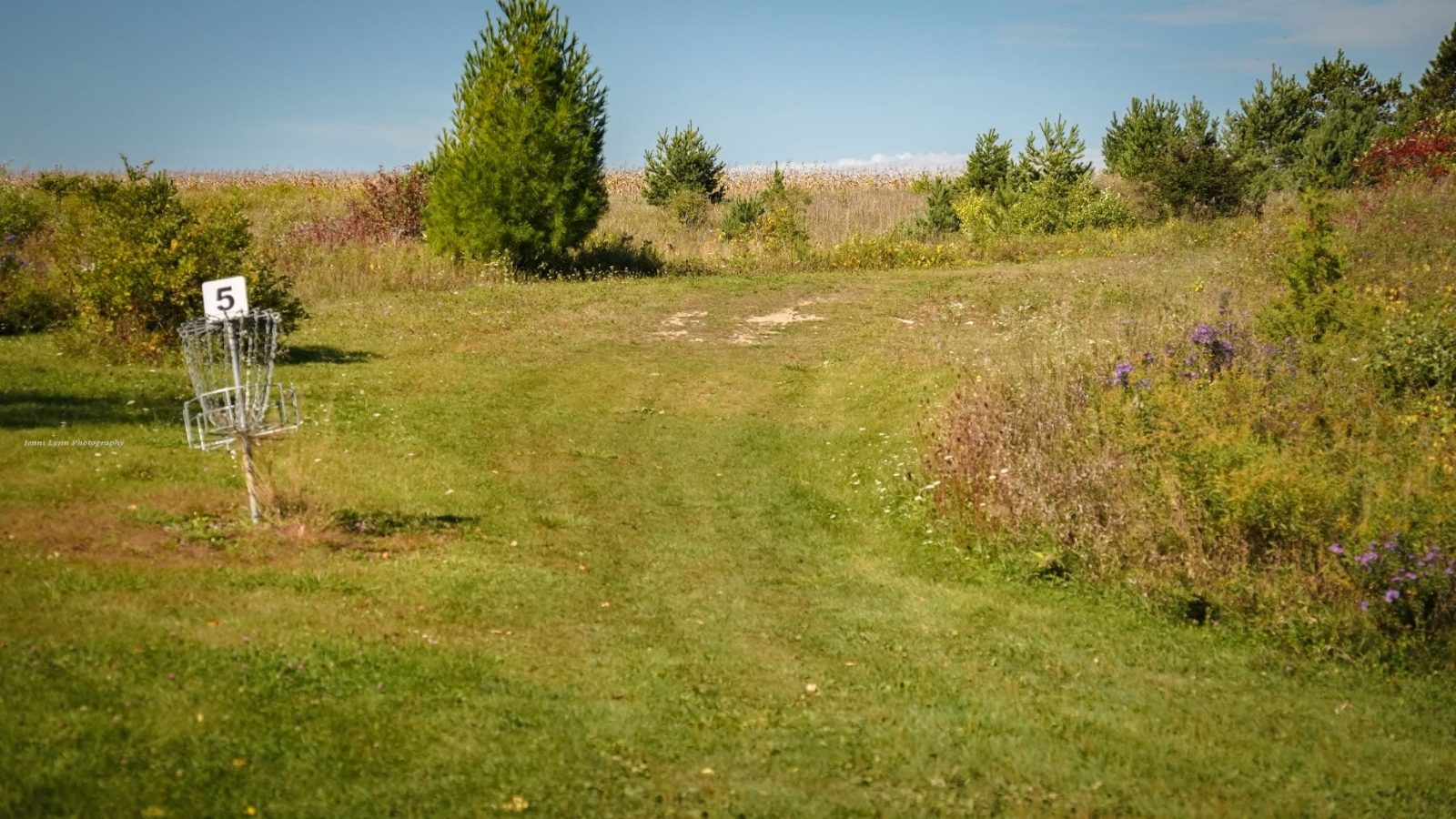 Disc golf course at Harbour Village Resort