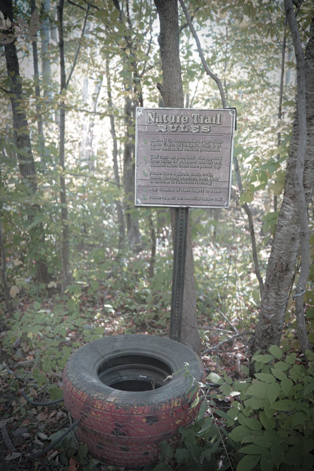 Nature trail