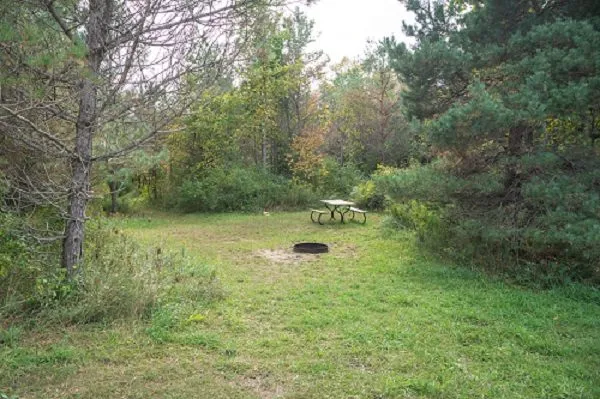 Wooded rustic tent campsite at Harbour Village Resort