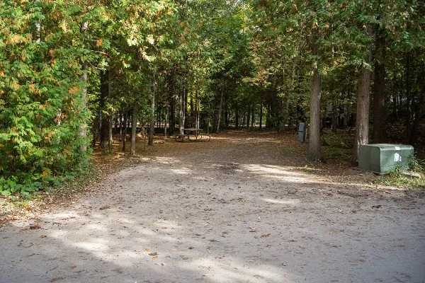 Wooded back-in campsite at Harbour Village Resort